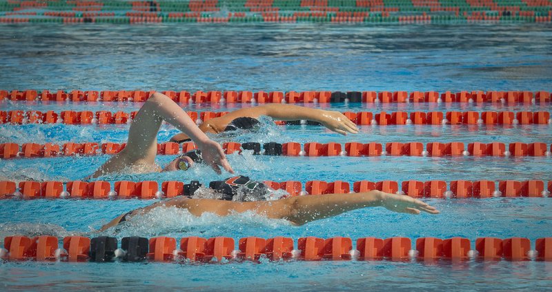 -336.jpg :: UM Swimming vs Central Connecticut