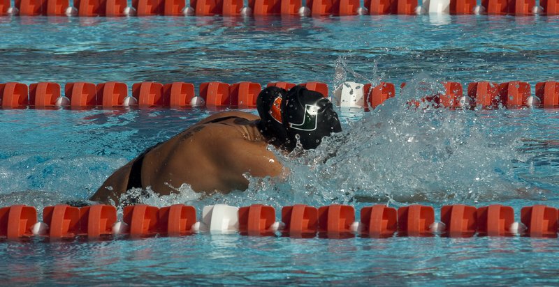 -396.jpg :: UM Swimming vs Central Connecticut