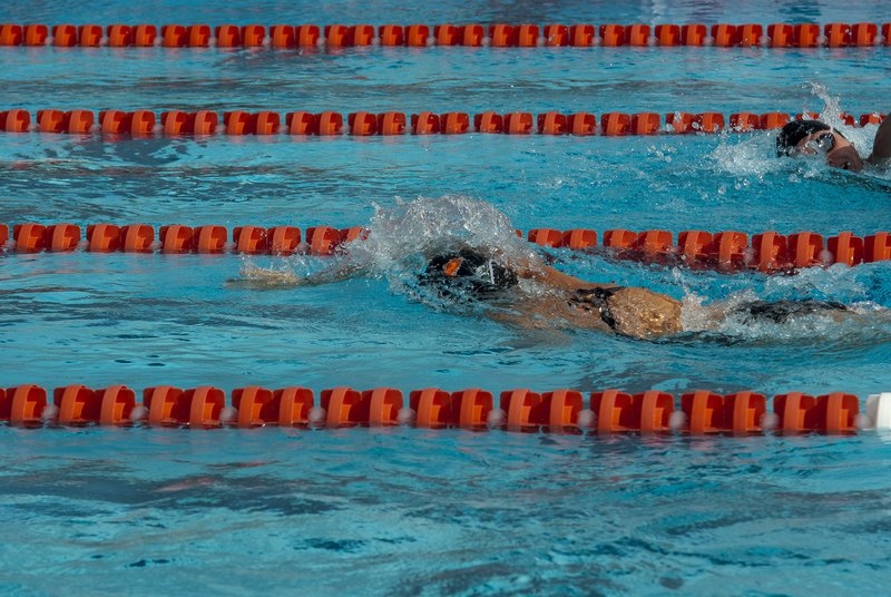 -74.jpg :: UM Swimming vs Central Connecticut