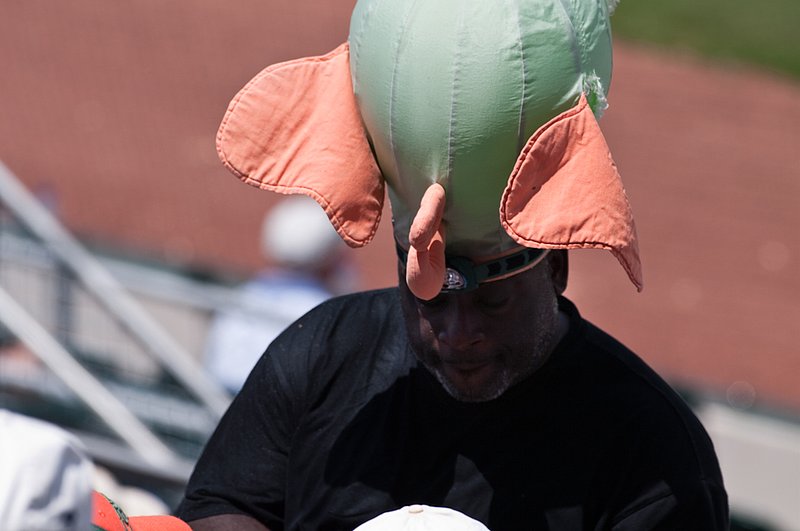 _IGP8267.jpg :: University of Miami Baseball vs Virginia 5-21, 22- 2010