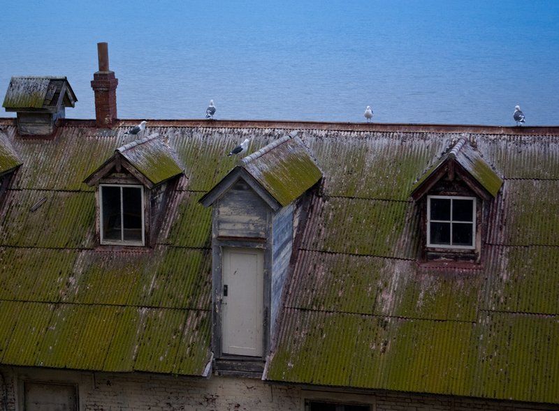 123rf Alcatraz Large roof 2-8-09-63.jpg :: Alcatraz Large Green Roof