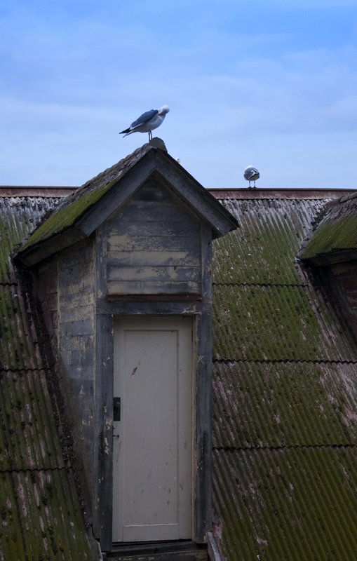 123rf Alcatraz roof 2-8-09-62.jpg :: Alcatraz Roof