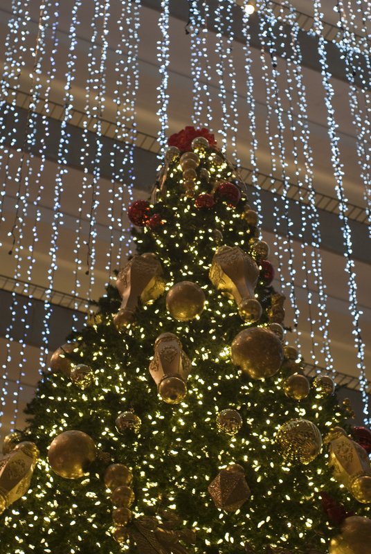 123rf Christmas lights San Fran 2-8-09-11.jpg :: Christmas Tree Lights
