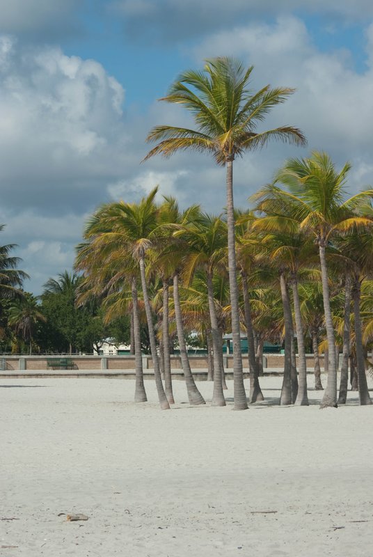 Crandon Beach 09-155.jpg