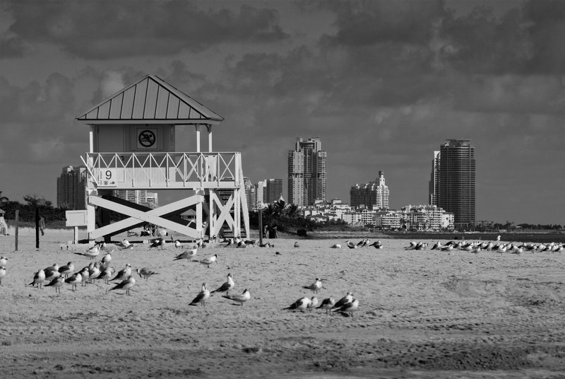 Crandon Beach 09-41.jpg