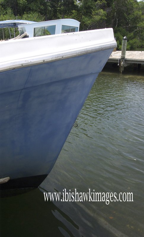 Florida Keys Blue Boat.jpg :: Florida Keys Islamorada Blue Boat