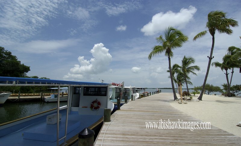 Florida Keys Blue Shrimp Boat at Dock.jpg :: Florida Keys Islamorada Dock