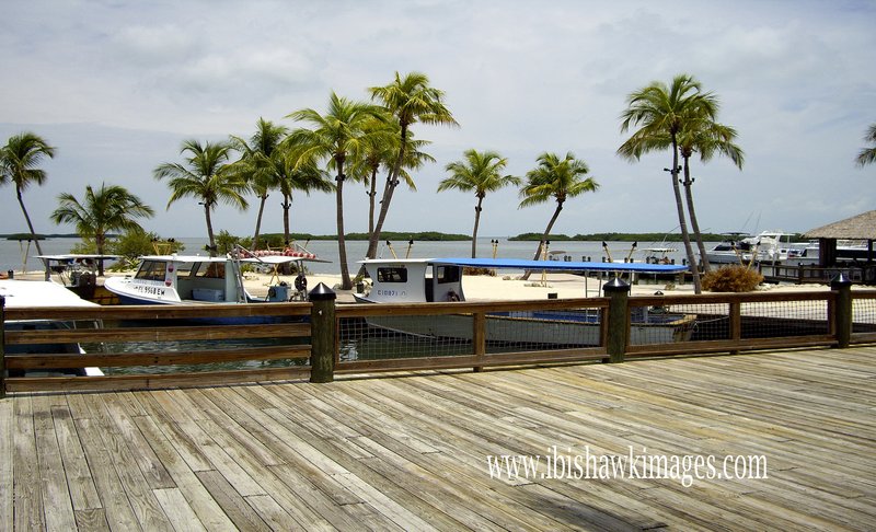 Florida Keys Blue boat with Dock and palms.jpg :: Florida Keys Islamorada Dock