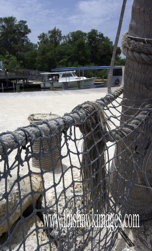 Florida Keys Cargo Net.jpg :: Florida Keys Islandmorada Fish Market 