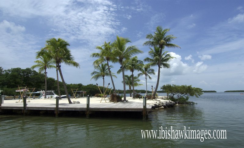 Florida Keys Dock.jpg :: Florida Keys Islamorada Fish Market