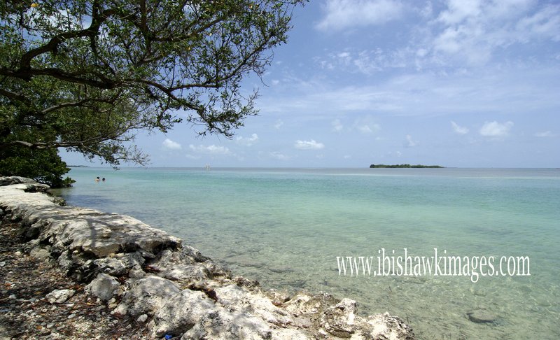 Florida Keys Ocean  copy.jpg :: Florida Keys Islamorada