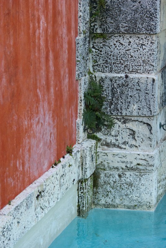 IFP3 Red White Blue Vizcaya 3 2-22-09-70.jpg :: Red White Blue Vizcaya 