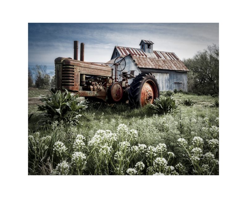 Tractor with white flowers(1).jpg