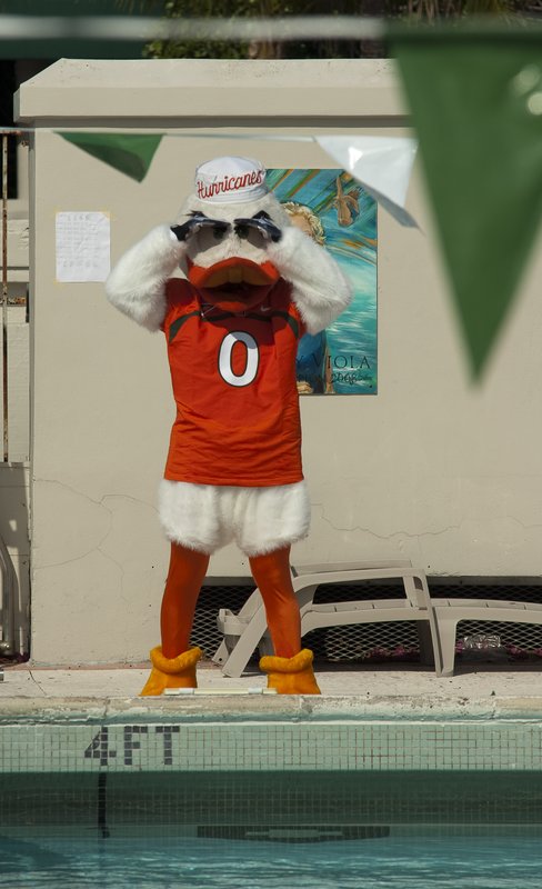 UM Swimming 108-2010-129.jpg :: Miami Vs Nebraska, Illinois