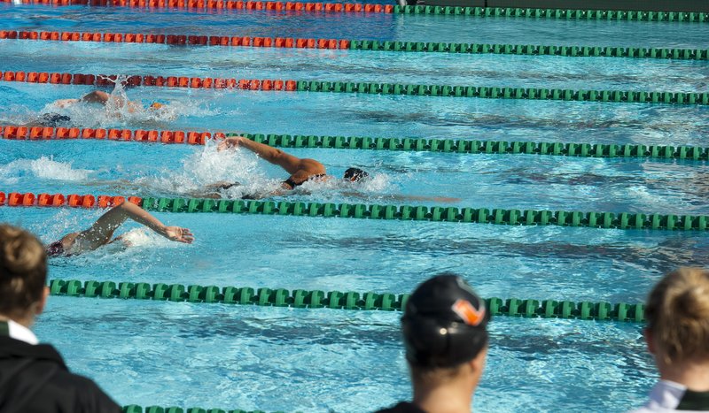 UM Swimming 108-2010-55.jpg :: Miami Vs Nebraska, Illinois