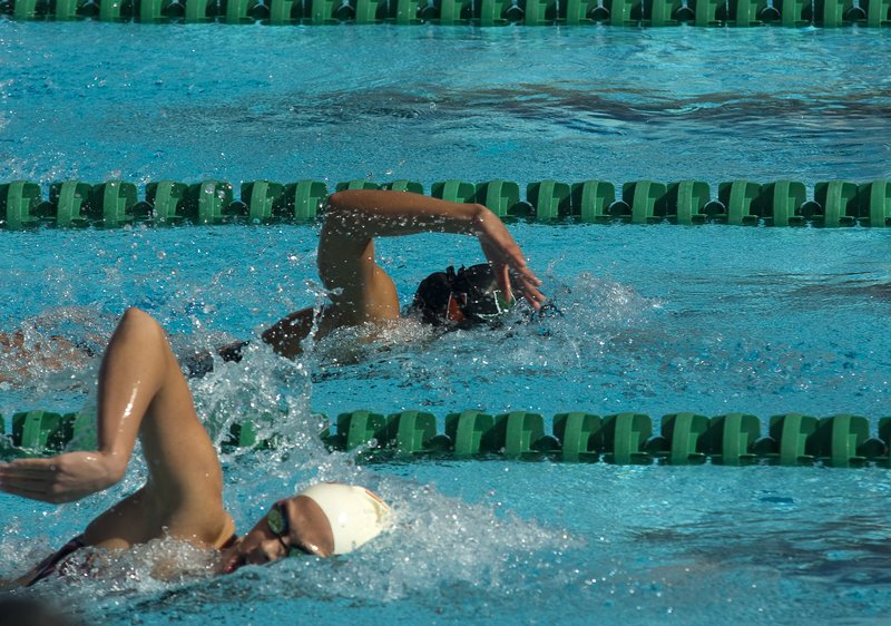 UM Swimming 108-2010-62.jpg :: Miami Vs Nebraska, Illinois