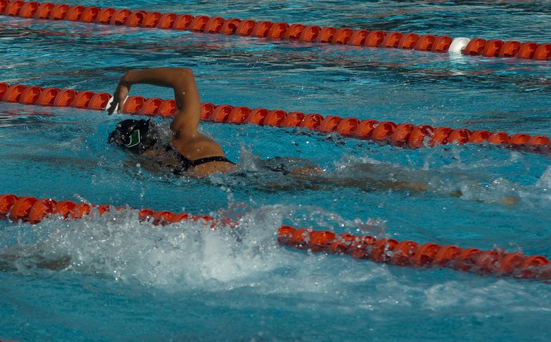 UM Swimming 108-2010-70.jpg :: Miami Vs Nebraska, Illinois