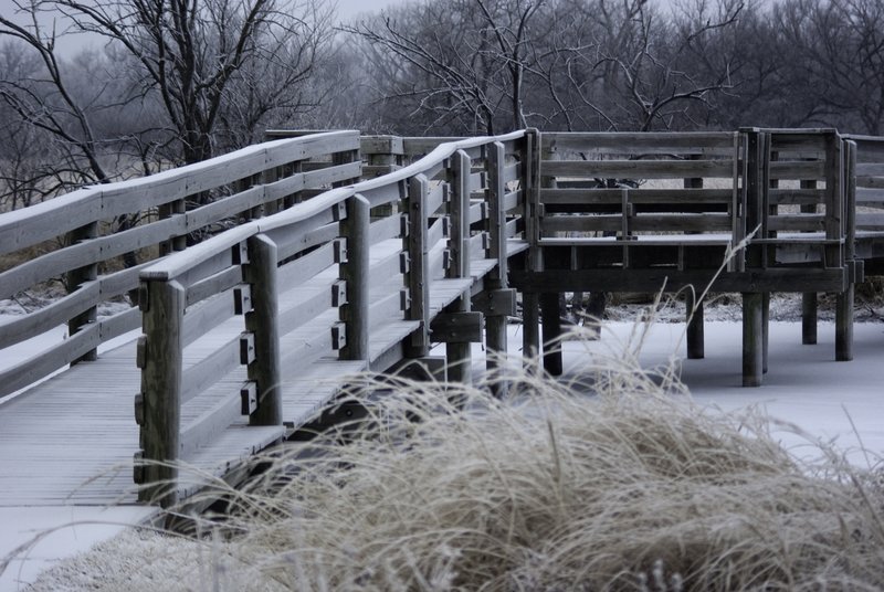 Wichita Nature Center 1-27-09-29-Edit.jpg :: Frozen Walk