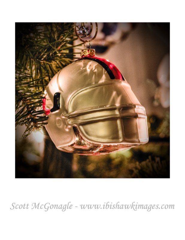helmet on tree.jpg