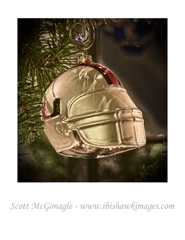 helmet scott mcgonagle.jpg