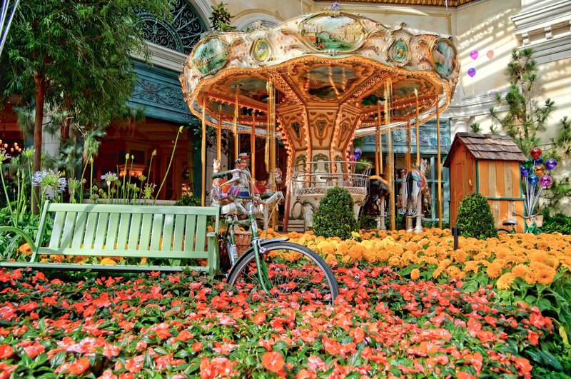 _IGP1223_4_5_6_7-Edit.jpg :: Las Vegas 5-2011