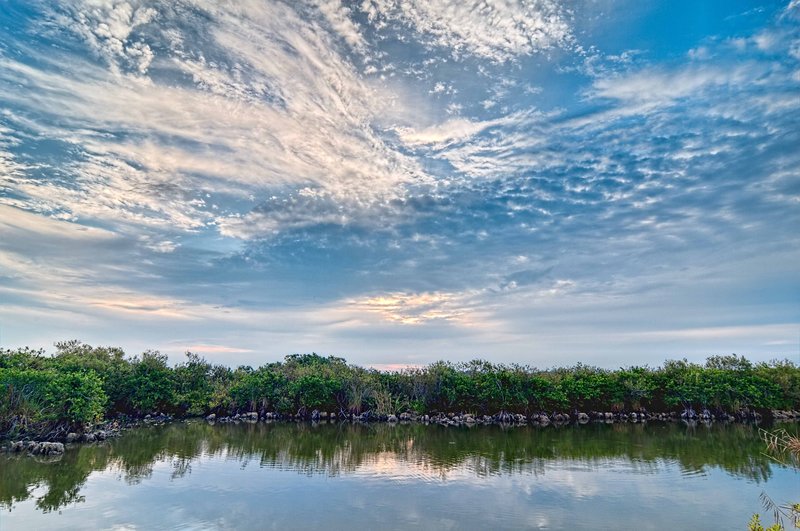 _IGP2183_4_5_6_7-Edit-Edit.jpg :: Everglades National Park 6-12-11
