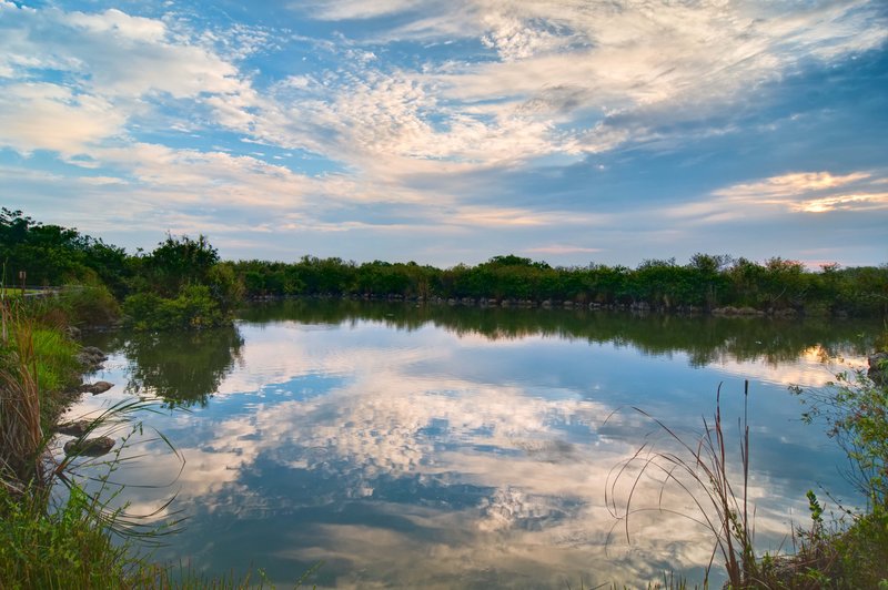 _IGP2203_4_5_6_7-Edit.jpg :: Everglades National Park 6-12-11