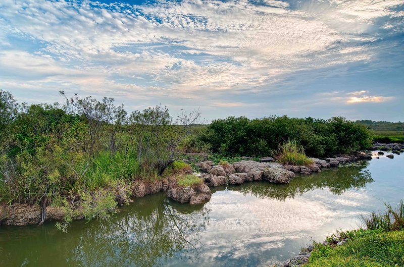 _IGP2248_49_50_51_52-Edit.jpg :: Everglades National Park 6-12-11