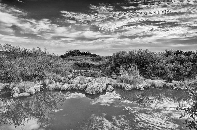 _IGP2270_1_2_3_4-Edit.jpg :: Everglades National Park 6-12-11