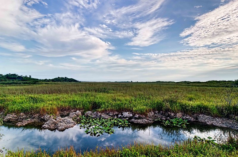 _IGP2306_07_08_09_10-Edit.jpg :: Everglades National Park 6-12-11