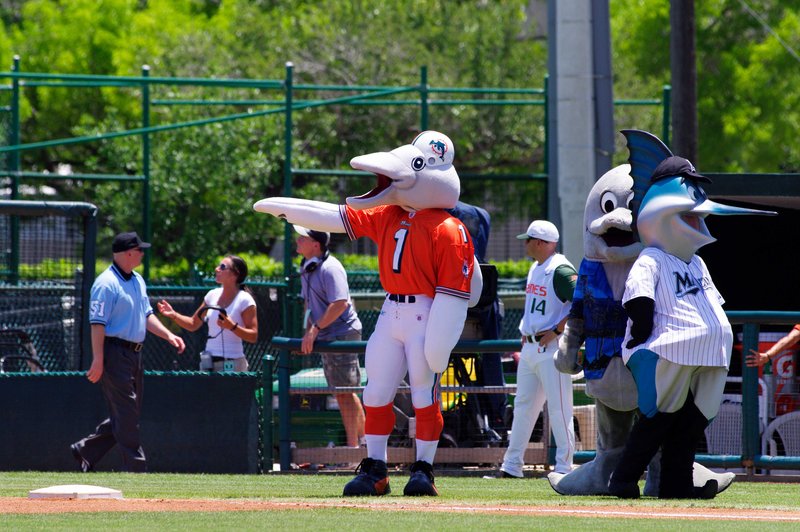 _IGP8800.jpg :: UM Baseball Vs FSU 5-1-2011