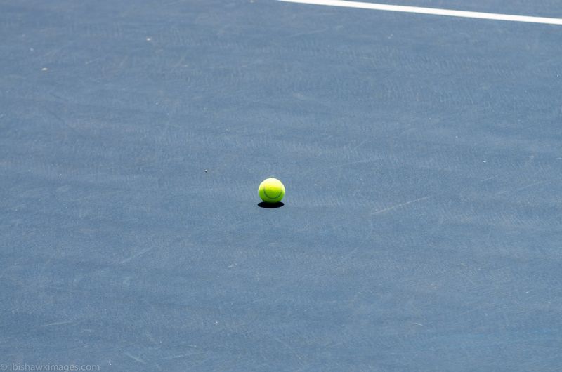 _IGP6490.jpg