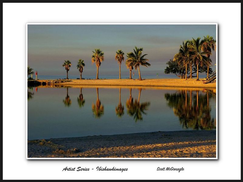 Matheson Hammock Artist Series.jpg