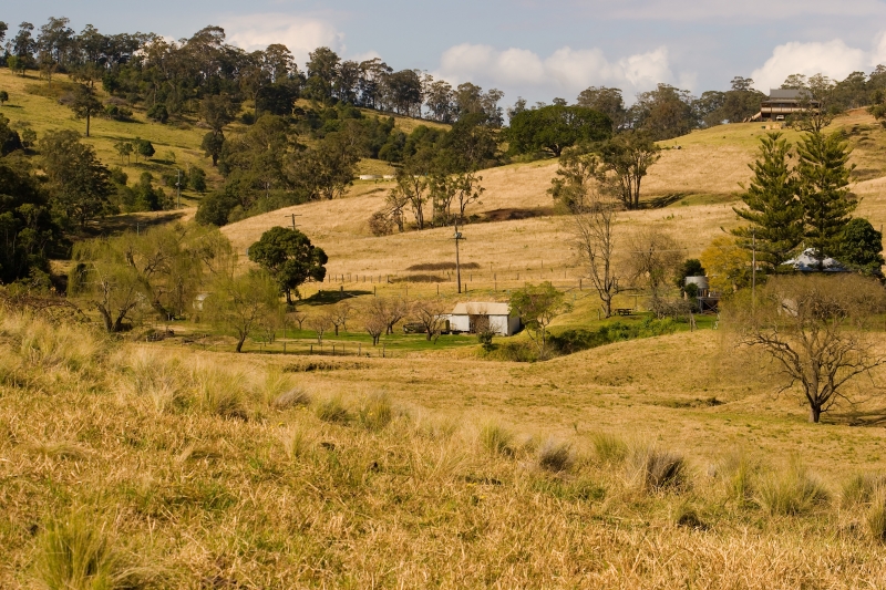 Australia 035.jpg :: Typical farming country of South East Australia