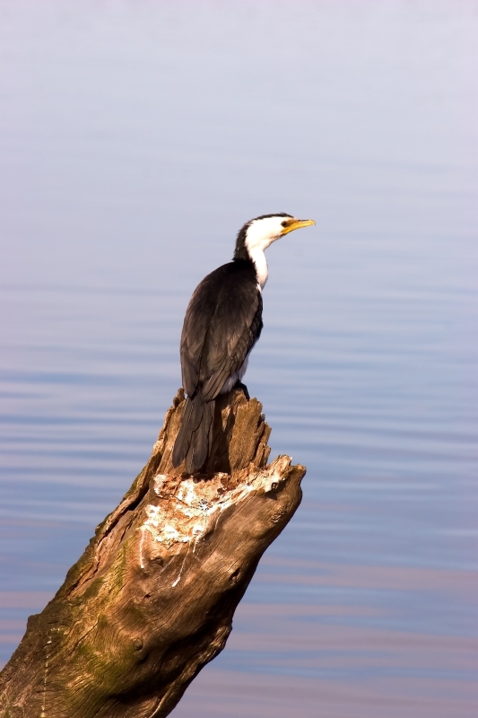 Australia 049.jpg