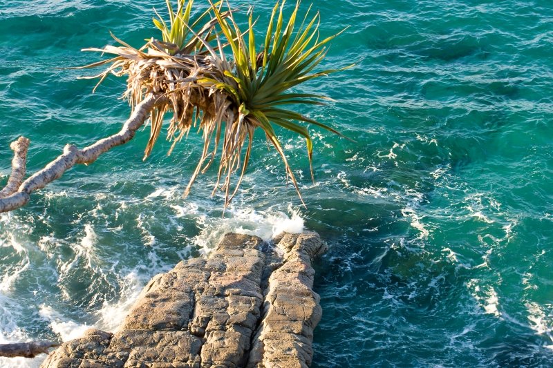Australia 063.jpg :: A deep green sea swirls around coastal rocks on Australia's Queensland coast