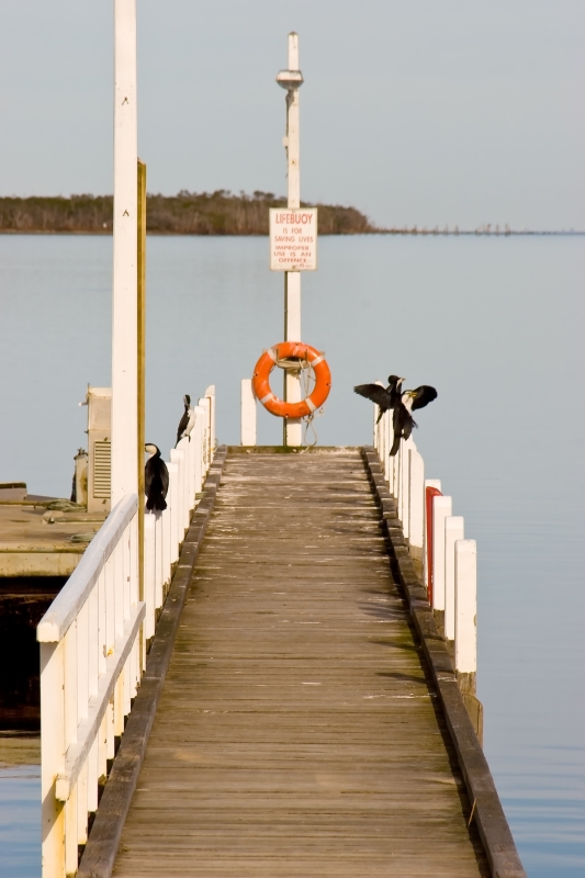 Australia 075.jpg