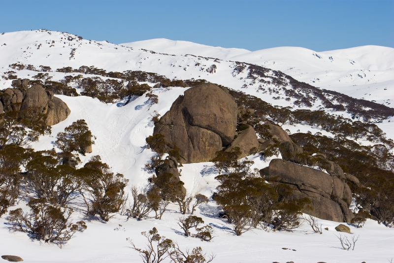 Australia 084.jpg :: The Ridge of Blue Cow Mountain in Australia's Snowy Mountain Range