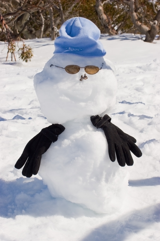 Australia 091.jpg :: A well dressed snowman with sunglasses, hat and gloves