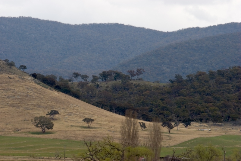 Australia 111.jpg