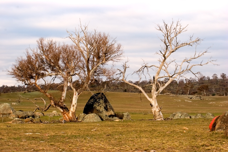 Australia 112.jpg :: The high country of New South Wales, Australia