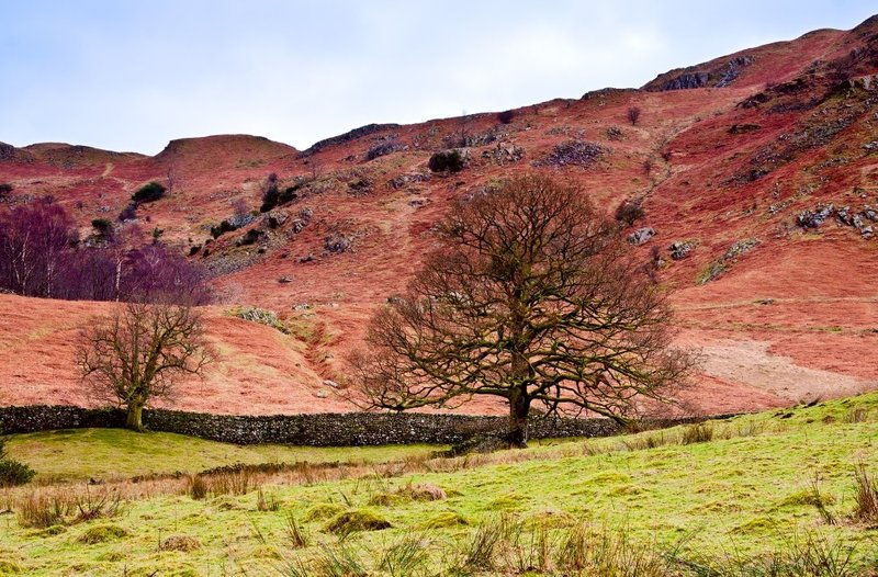 Below Loghrigg Fell.jpg :: Loughrigg Fell