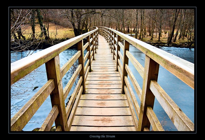 Crossing the Stream.jpg