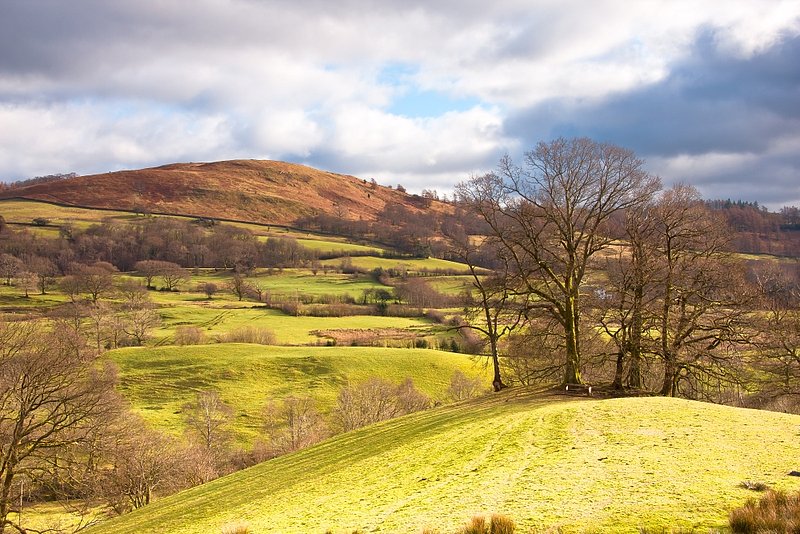 Lake District Pastures.jpg