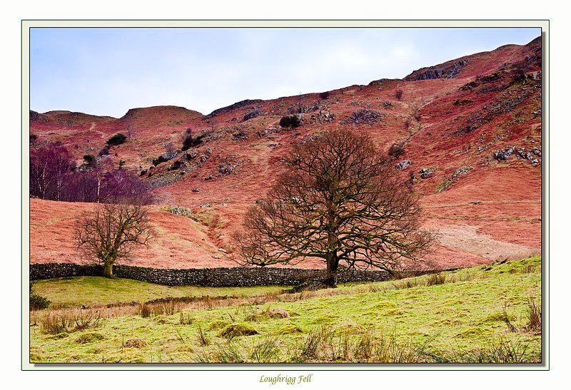 Loughrigg Fell.jpg