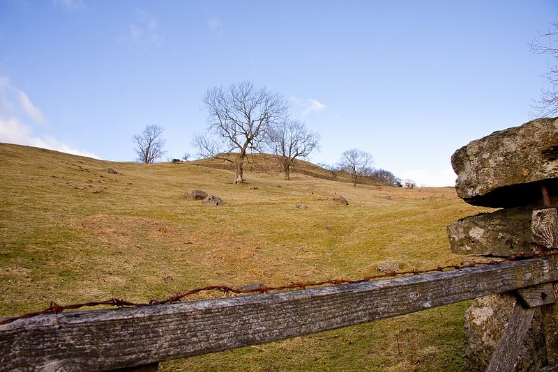 Trees below Kirkstone.jpg