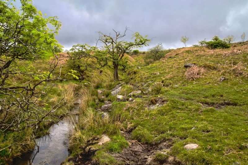 A stormy day on Dartmoor - Devon - England.jpg