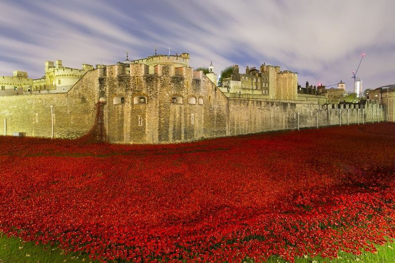 Blood Swept Moat_.jpg