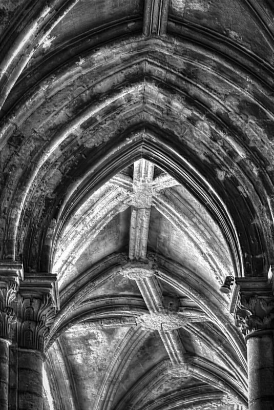 Cathedral Roof_ii_IFP.jpg