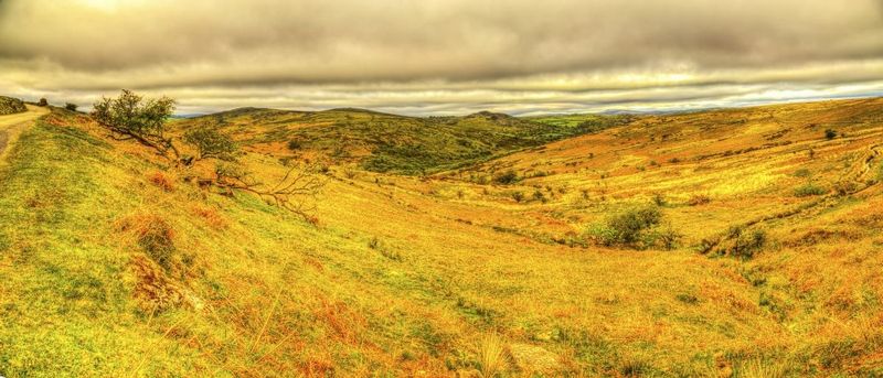 Moorland view looking toward Hexworthy -Dartmoor National Park - Devon - England.jpg